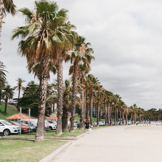 geelong business growth marketing