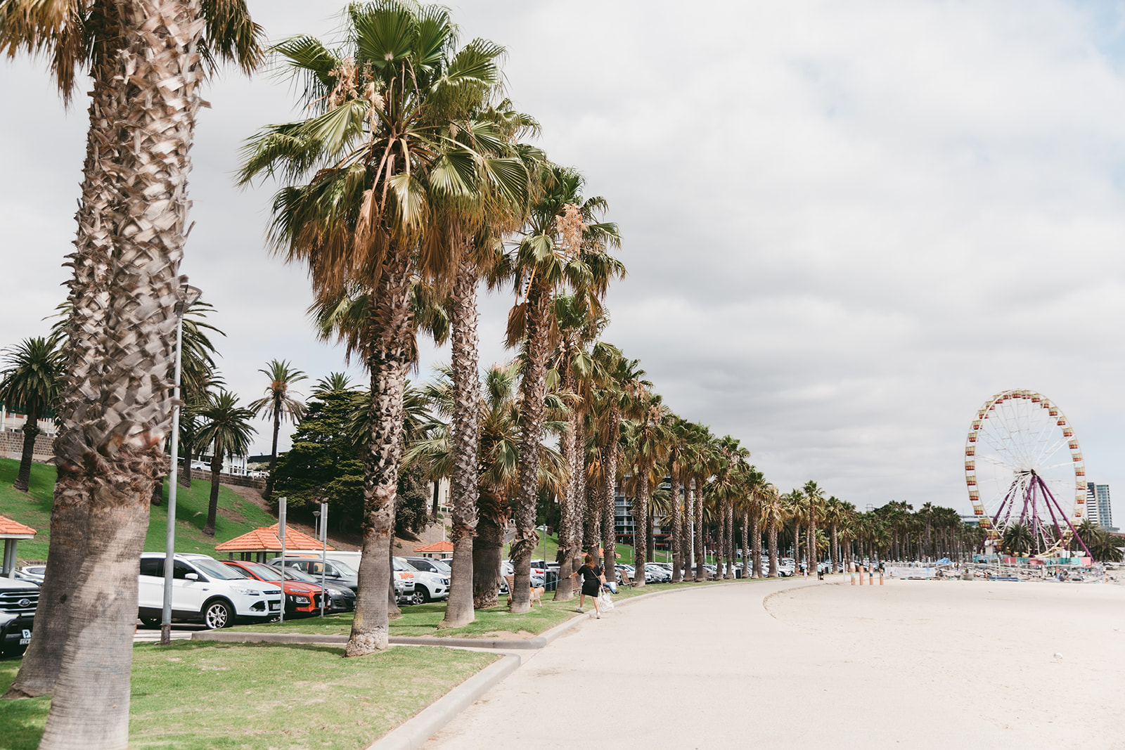 geelong business growth marketing